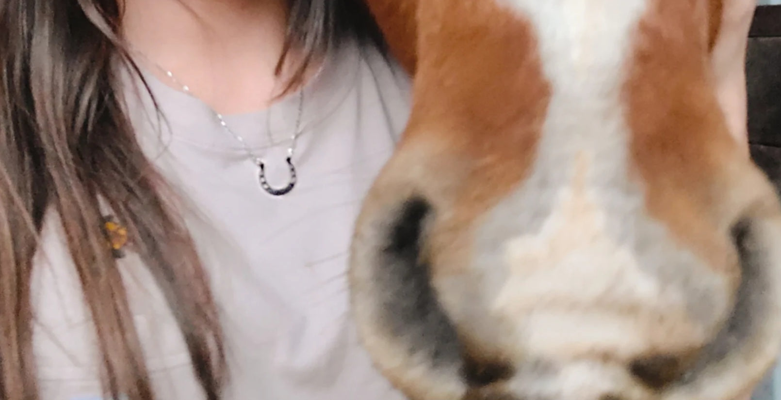 Lifetime Horseshoe Necklace!