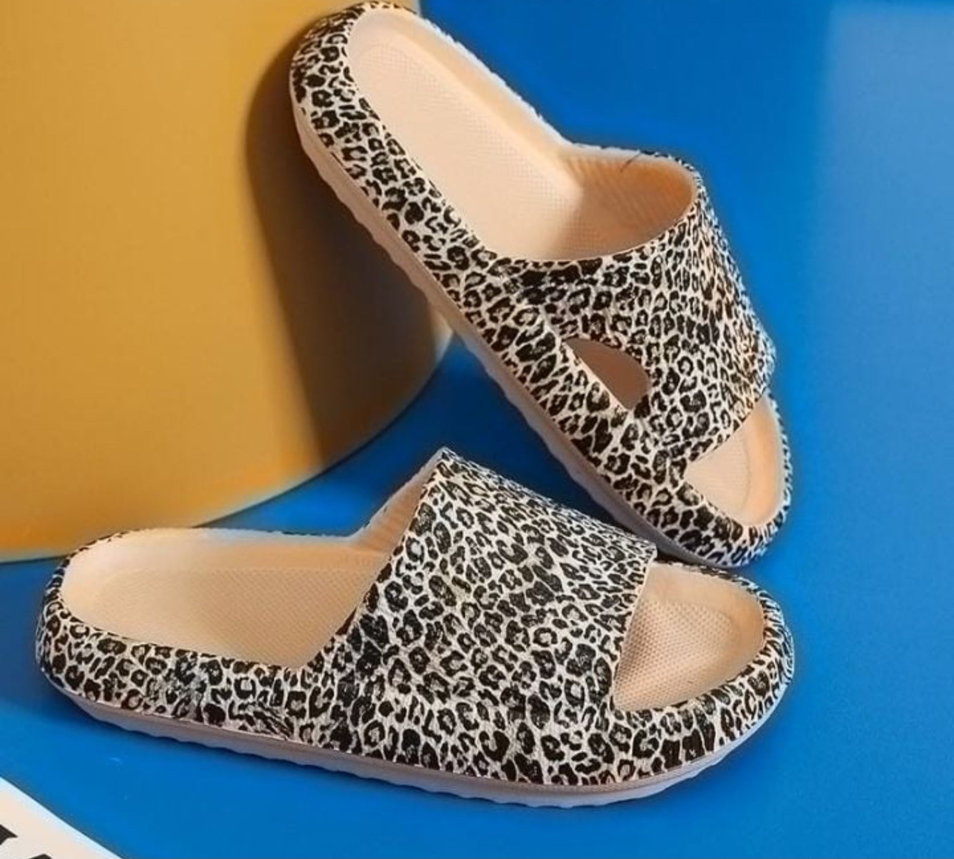 Original Leopard Slides!